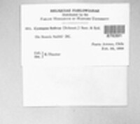 Image Associated With the Occurence